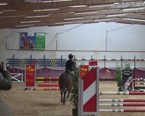 Reitturnier Eicherloh RH Laurent/Obb. 2024
