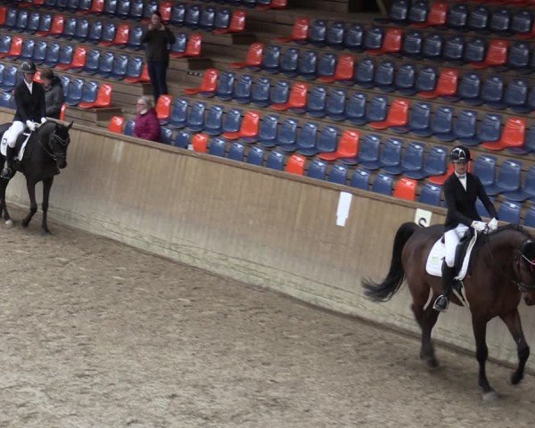 Reitturnier Krumke 2024