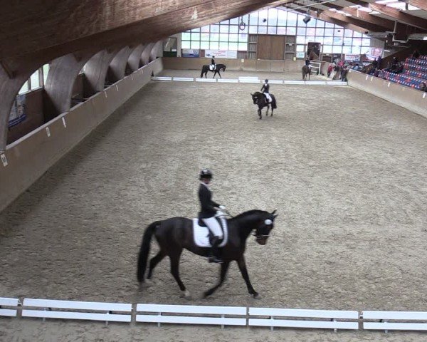 Reitturnier Krumke 2024