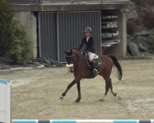 Reitturnier St. Margarethen 2024