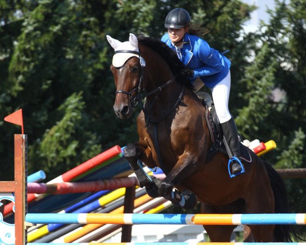 jumper Willi 392 (German Sport Horse, 2011, from World Man G)