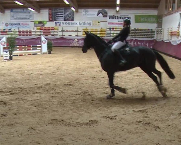 Reitturnier Eicherloh RH Laurent/Obb. 2024