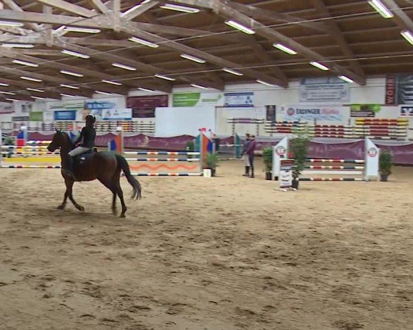 Reitturnier Eicherloh RH Laurent/Obb. 2024