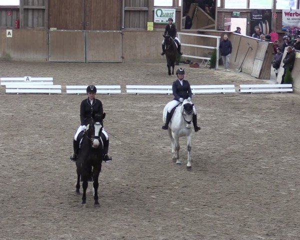 Reitturnier Krumke 2024