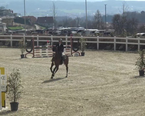Reitturnier St. Margarethen 2024