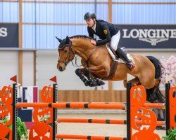 jumper Oskari (German Sport Horse, 2016, from Orlando van de Heffinck)