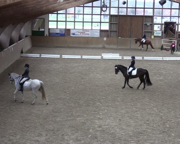 Reitturnier Krumke 2024
