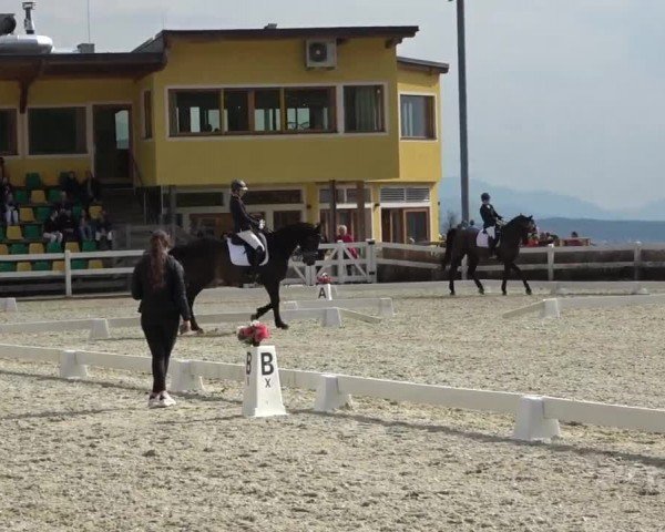 Reitturnier St. Margarethen 2024