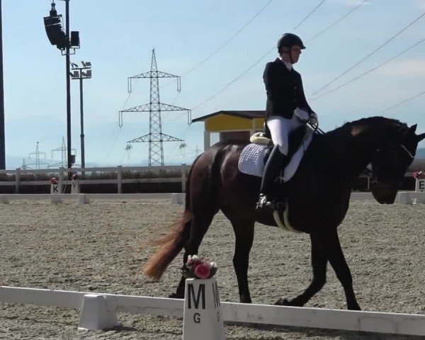 Reitturnier St. Margarethen 2024