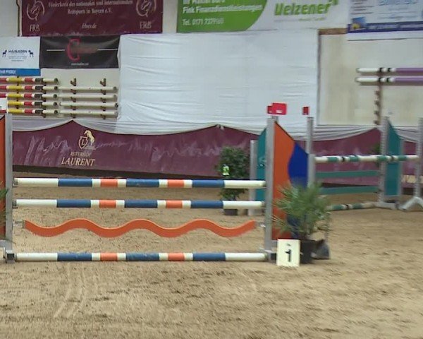 Reitturnier Eicherloh RH Laurent/Obb. 2024