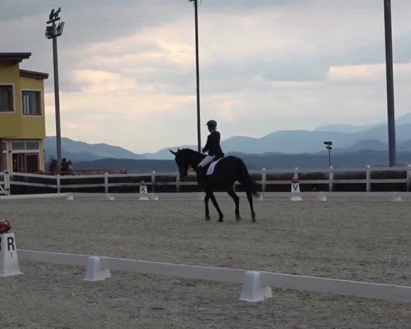 Reitturnier St. Margarethen 2024