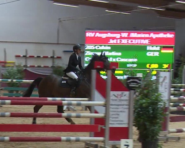 Reitturnier Eicherloh RH Laurent/Obb. 2024
