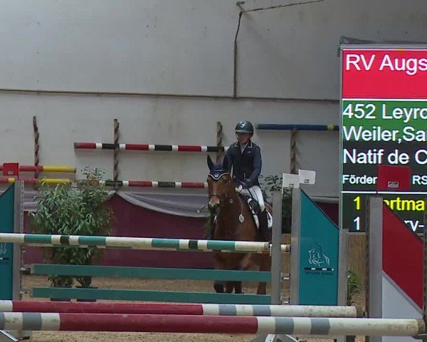 Reitturnier Eicherloh RH Laurent/Obb. 2024