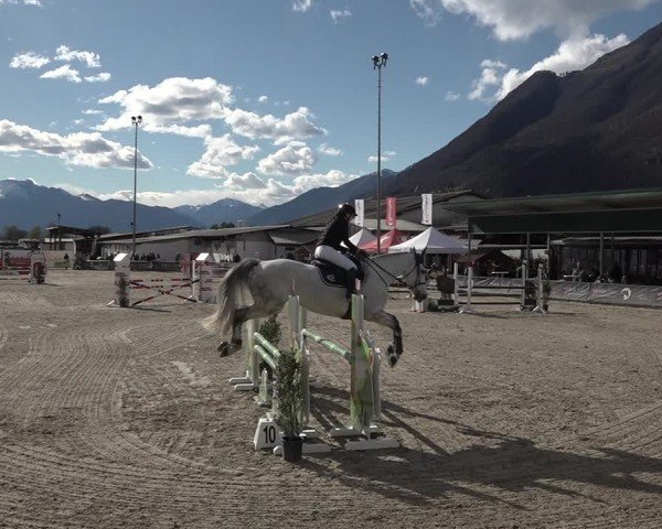 Reitturnier Giubiasco 2024