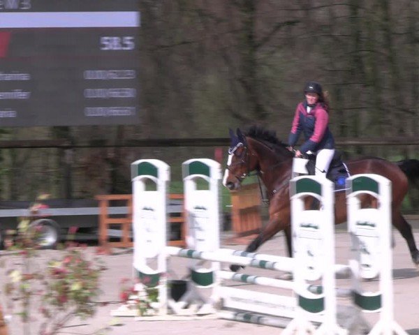 Reitturnier Erkrath - Uhlenhof 2024