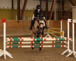 jumper Chulain (Connemara Pony, 2018, from Gurteen Cathal)