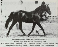 stallion Symondsbury Grenadier (Welsh-Pony (Section B), 1986, from Carolinas Moccasin)