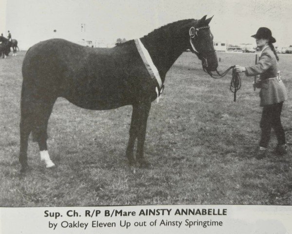 horse Ainsty Annabelle (British Riding Pony, 1978, from Oakley (C) Eleven Up)