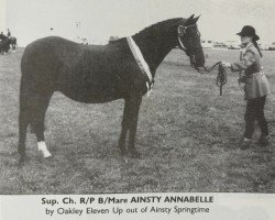 Pferd Ainsty Annabelle (British Riding Pony, 1978, von Oakley (C) Eleven Up)