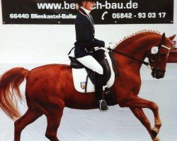 dressage horse Mon ami Chameur (German Riding Pony, 1989, from Condor I)