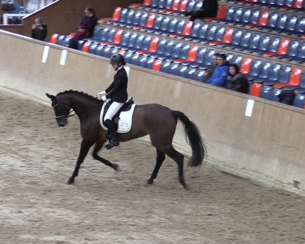 Reitturnier Krumke 2024
