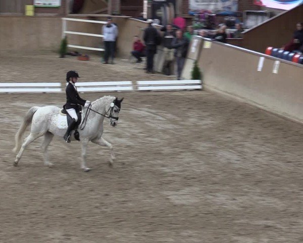 Reitturnier Krumke 2024