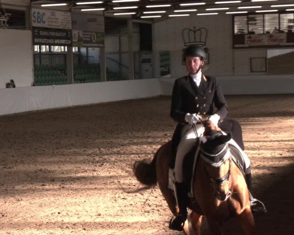 Reitturnier Zweibrücken-Landgestüt / Halle 2024