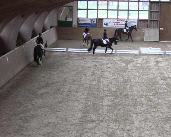 Reitturnier Krumke 2024