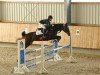 jumper Close To Madness (German Sport Horse, 2017, from Carl Albert von Perm)