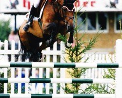 Pferd Goldika (Holsteiner, 1992, von Cor de la Bryère)