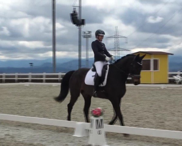 Reitturnier St. Margarethen 2024