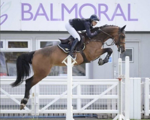 jumper Monalisa H (KWPN (Royal Dutch Sporthorse), 2017, from Glenfiddich VDL)