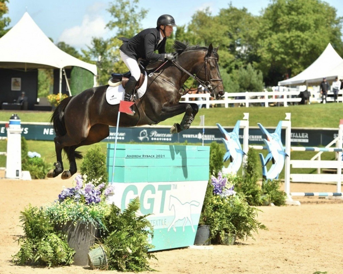 jumper Gazelle Es (KWPN (Royal Dutch Sporthorse), 2011, from Diarado)