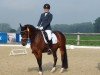 Dressurpferd Hesselteichs A Rising Star (Deutsches Reitpony, 2016, von A Gorgeous)