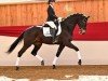 dressage horse Ma Belle Fleur 3 (German Sport Horse, 2020, from Maracana)