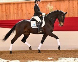 dressage horse Ma Belle Fleur 3 (German Sport Horse, 2020, from Maracana)