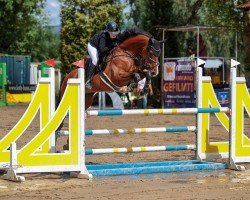 jumper Toutés I'Amoure (German Sport Horse, 2016, from Toumba)