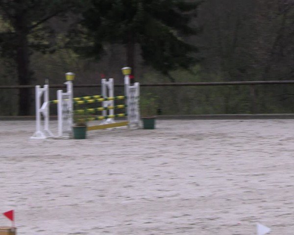 Reitturnier Erkrath - Uhlenhof 2024