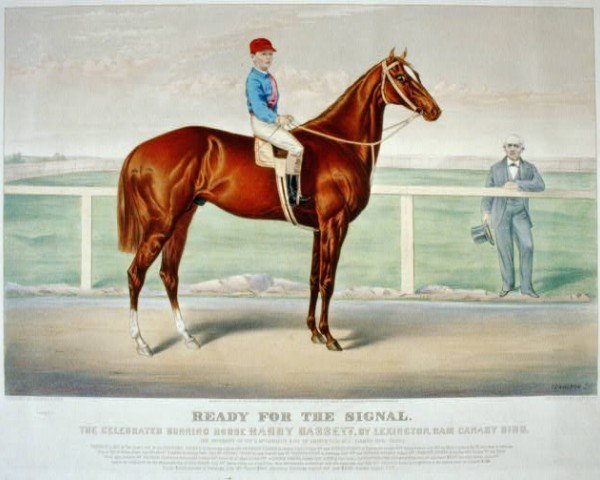 stallion Harry Bassett xx (Thoroughbred, 1868, from Lexington xx)