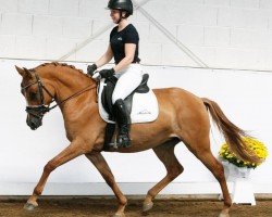 dressage horse Alinga B (German Riding Pony, 2015, from Kastanienhof Cockney Cracker)