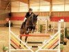 jumper Caruso 528 (Hanoverian, 2009, from Comte)