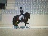 dressage horse Tomaso (Oldenburg, 2011, from Totilas)