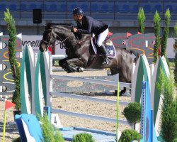 jumper Zeus (KWPN (Royal Dutch Sporthorse), 2004, from Indoctro)