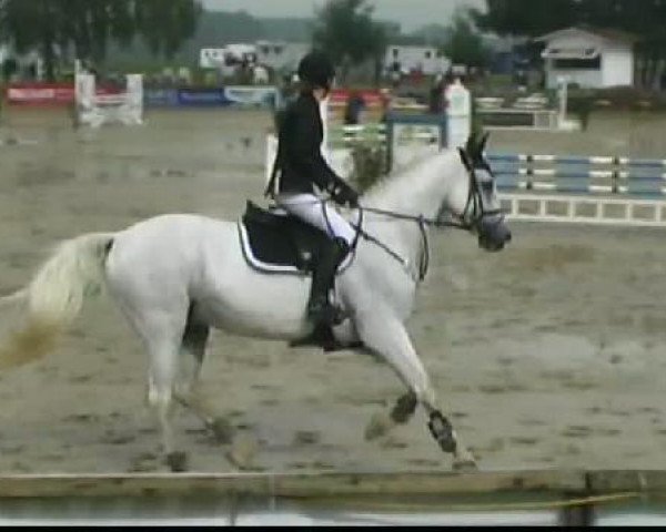 Waltrop 2011
