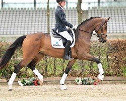 dressage horse For Glory (German Sport Horse, 2021, from Foundation 2)