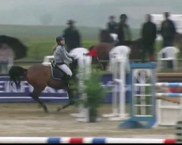 Waltrop 2011