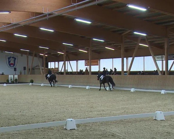 Reitturnier Grafenrheinfeld/Ufr. 2024