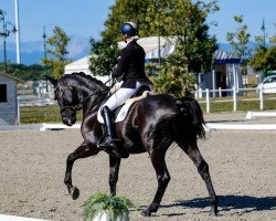 jumper Totus Floreo SA (Oldenburg, 2011, from Totilas)