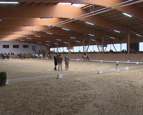Reitturnier Grafenrheinfeld/Ufr. 2024