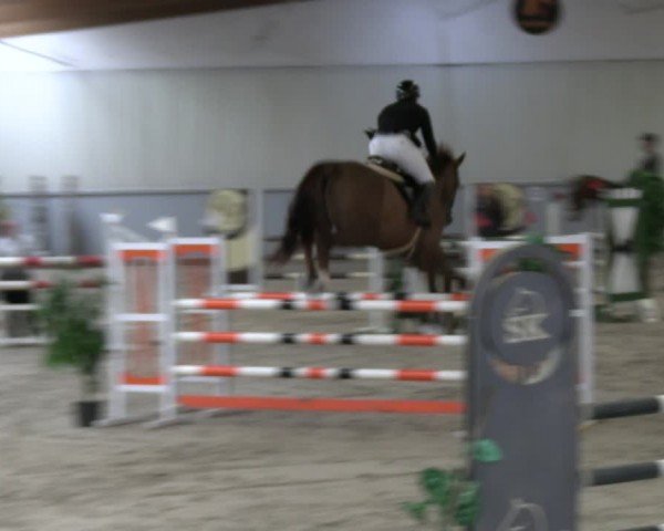 Reitturnier Lentzke - Reitanlage Krehl 2024